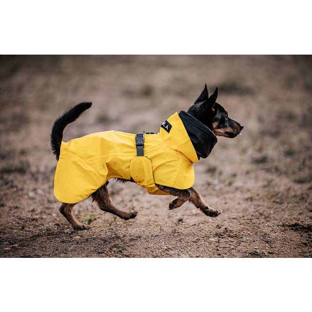 Reflekterande Regnjacka Hund, Gul - 80