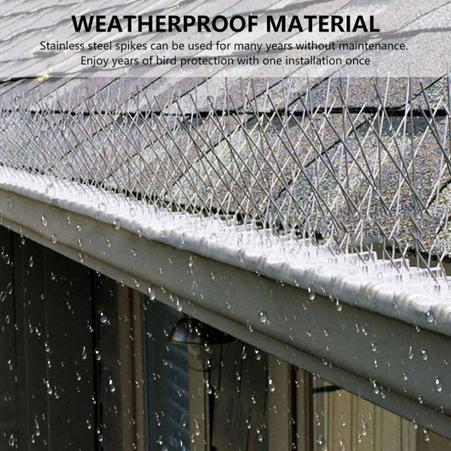 5M/10psc Bird Spikes Stainless Steel Wall Fence Pigeon Deterrent Spikes Control