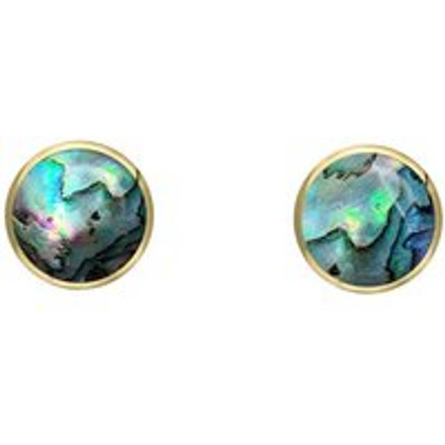 9ct Yellow Gold Abalone 4mm Classic Small Round Stud Earrings