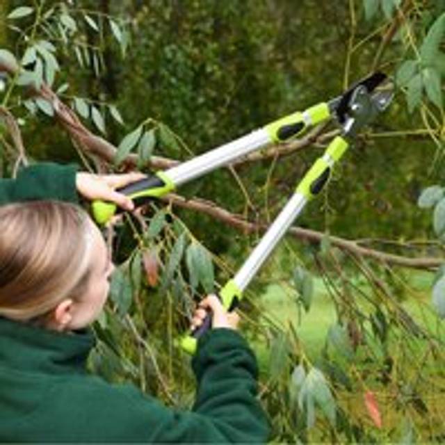 Garden Gear Telescopic Anvil Lopper, Green
