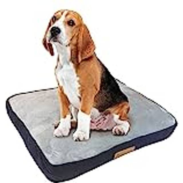 Ellie-Bo Extra Large 100cms x 66cms Dog Bed Blue Corduroy Sides and Grey Faux Fur Topping will fit 42Ã¢ Extra Large Dog Cage or Crate