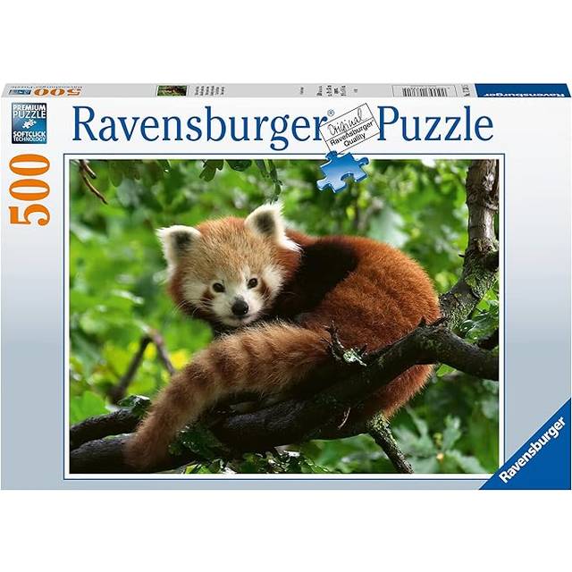 Cute red panda