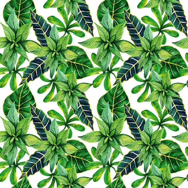 Damiani Matte Wallpaper Roll - White (416 x 254cm)