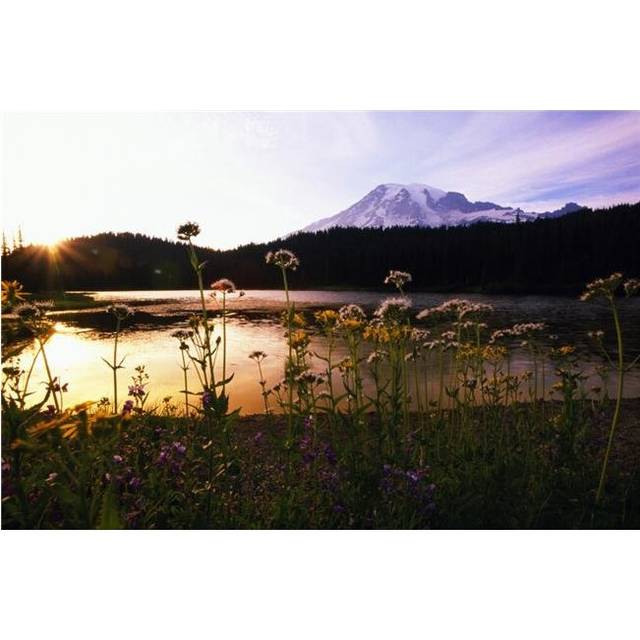Reflection Lake with Mt. Hood in The Distance Washington United States of America Poster Print by Natural Selection Craig Tuttle, 36 x 24 - Large