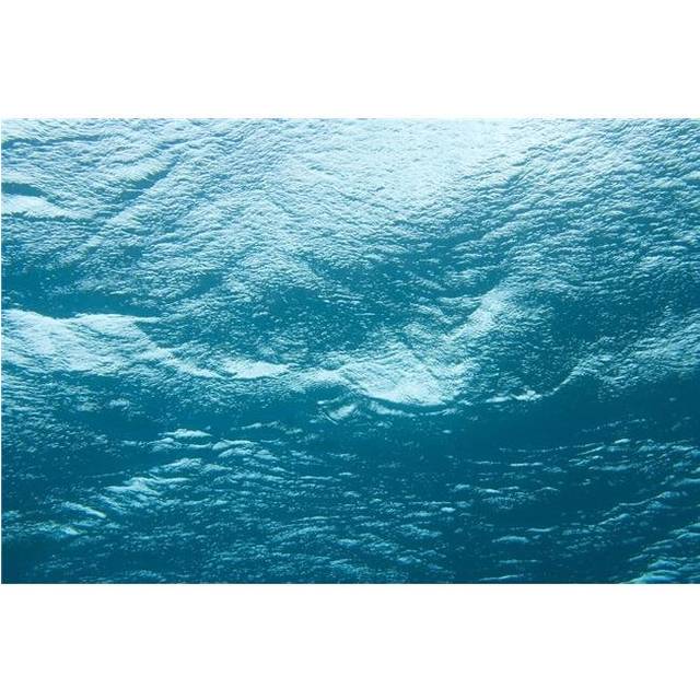 Underwater Image Poster Print, 18 x 12