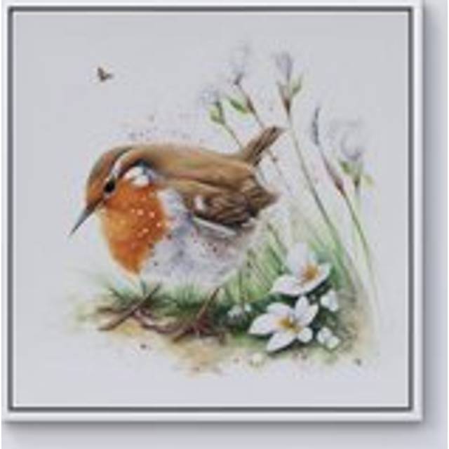Robin And Daisies Watercolour Framed Canvas - Off White - W16 inch x H16 inch