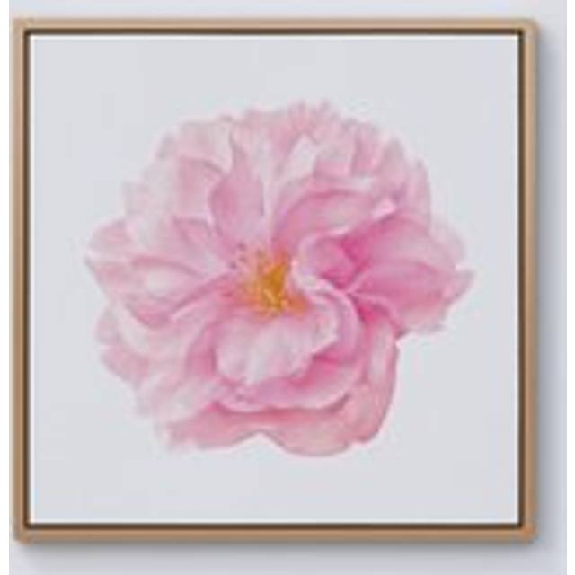 Single Cherry Blossom Framed Canvas - Light Brown - W30 inch x H30 inch