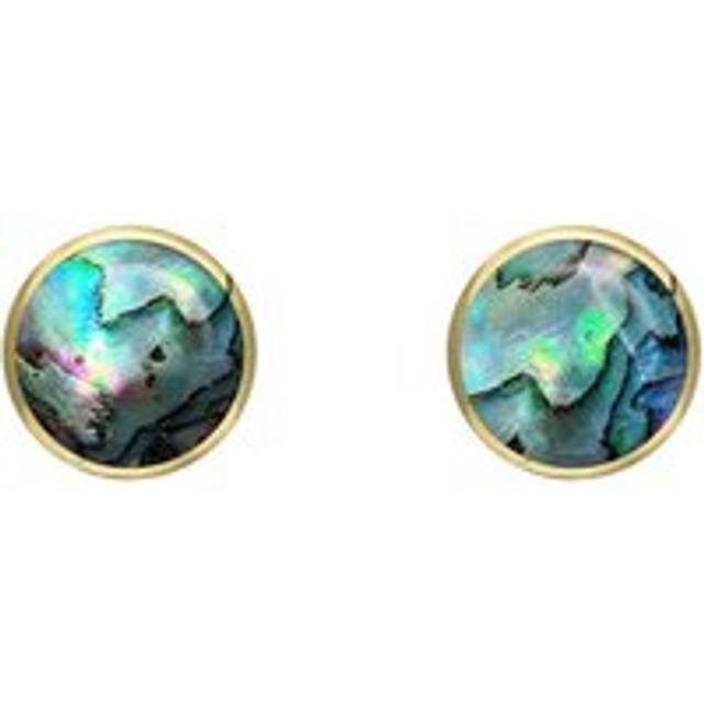 9ct Yellow Gold Abalone 5mm Classic Small Round Stud Earrings