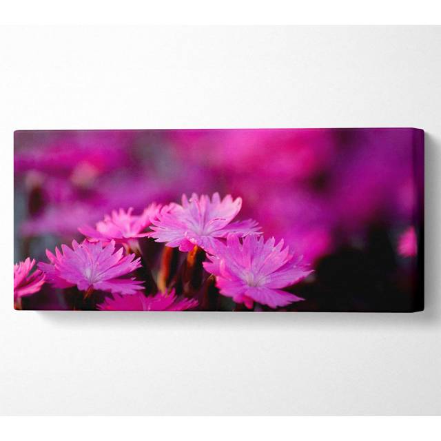 Pink Petal Beauty - Wrapped Canvas Art Prints - Multicolour (40.6cm H x 101.6cm W x 10cm D)