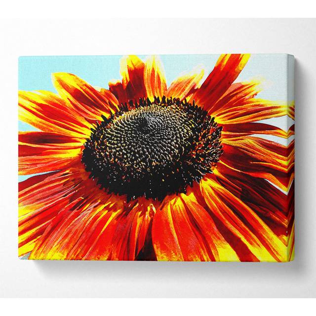 The Sunflower - Wrapped Canvas Art Prints - Multicolour (35.6cm H x 50.8cm W x 10cm D)