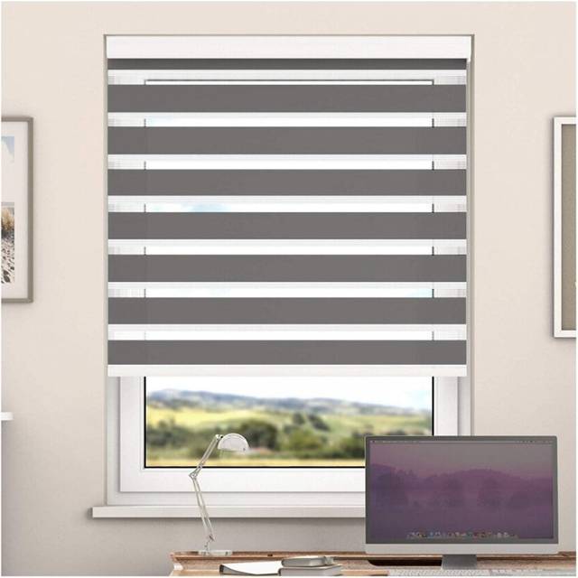 Day And Night Zebra Roller Blind with Cassette(Metal,  50cm x 220cm)
