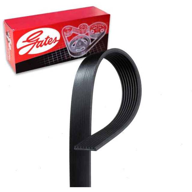 Gates K080981 Micro-V Serpentine Drive Belt
