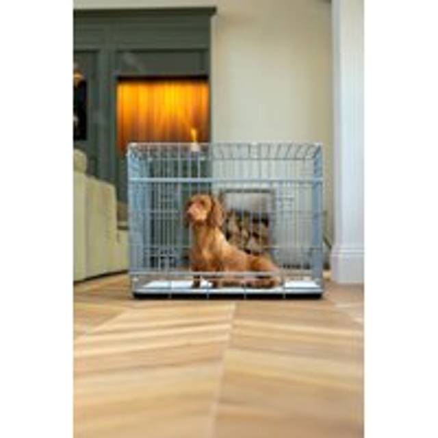 Sliding Door Dog Crate - Metallic Silver - XL