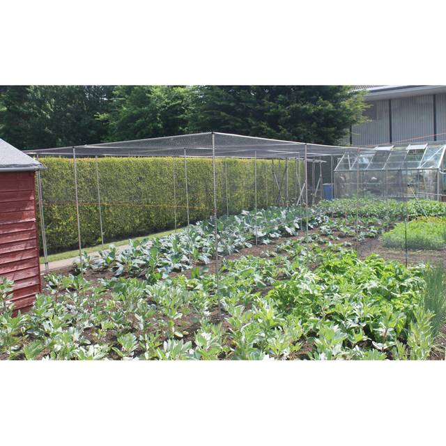 (Large Cage H2 x W6m x L7m No Netting) Fruit & Veg Cages Walk In With Door Choose Netting