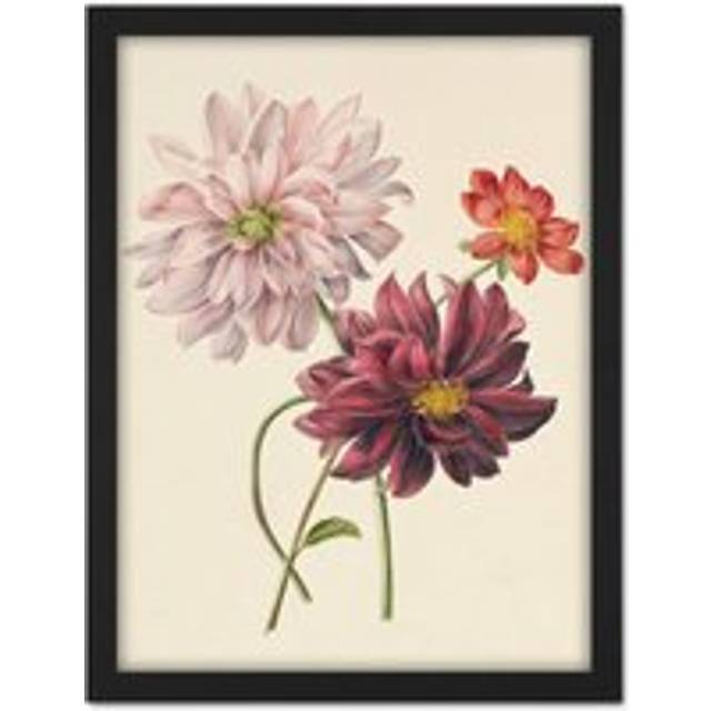 Wall Art Print Willem Hekking Dahlias Flowers Pink And Purple Large Framed Wall Décor Art - Tan - W18 inch x H24 inch