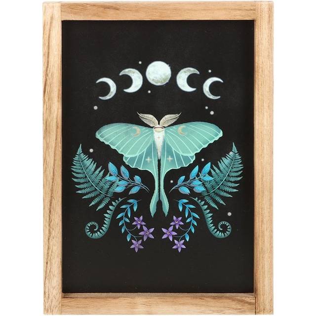 Luna moth wooden framed wall art