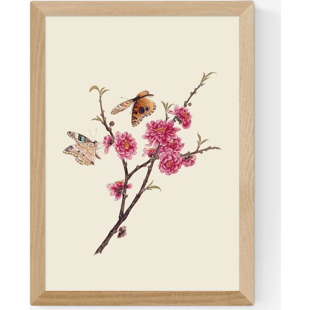 EAST END PRINTS Natural History Museum 'Butterflies' Framed Print