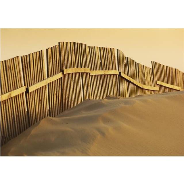 Fence On Beach Poster Print, 18 x 13