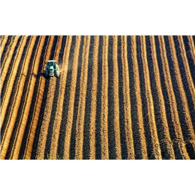 Tractor Plowing A Field Poster Print by John Short, 34 x 22 - Large