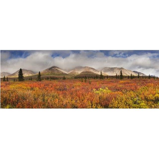 Scenic Panorama of Fog Lifting On The Alaska Range Denali National Park Interior Alaska Autumn Poster Print by Carl Johnson, 44 x 16 - Large