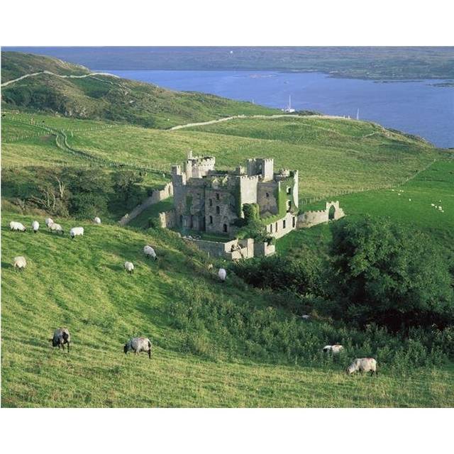 Clifden Castle Co Galway Ireland - 19th Century Gothic Revival Style Castle Poster Print by The Irish Image Collection, 34 x 26 - Large