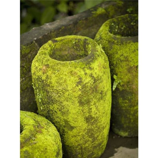 Moss Covered Urns Poster Print, 15 x 20