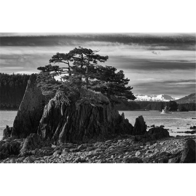 Black & White of A Salmon Seiner As It Departs Kodiak Southwest Alaska Poster Print by Marion Owen, 38 x 24 - Large