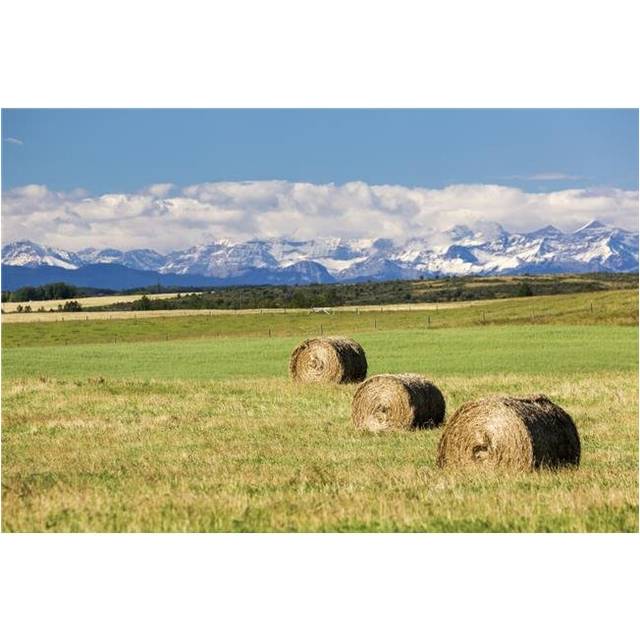 Three Hay Bales in A Field with Mountains in The Background Slightly Snow Covered & Cloudy with Blue Sky Poster Print - 19 x 12 in.