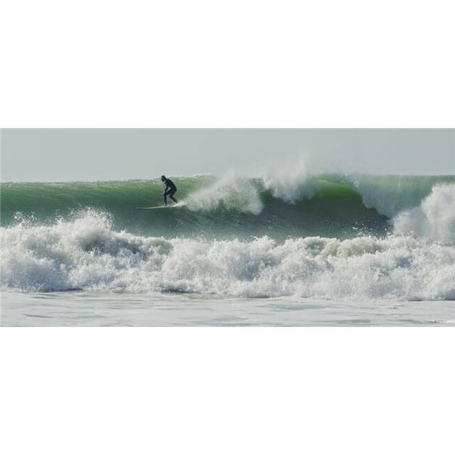 Surfer Up on A Wave Poster Print, 44 x 20