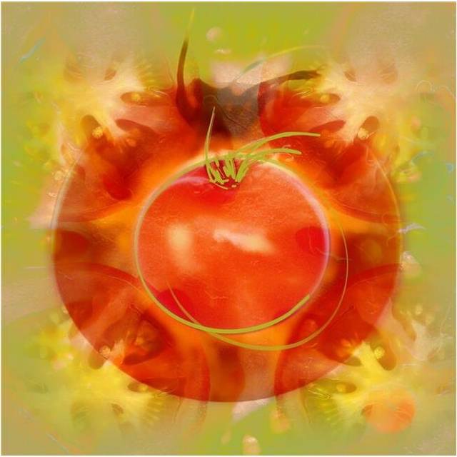 Illustration of Tomato Poster Print by Cam Wilson, 15 x 15