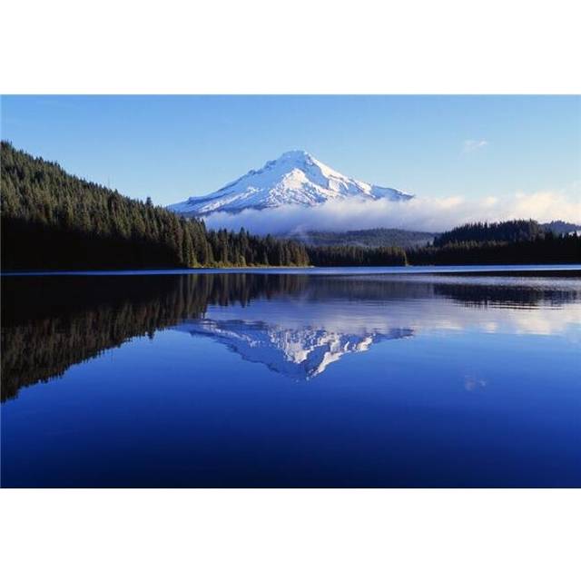 Trillium Lake with Reflection of Mount Hood Mount Hood National Forest Poster Print by Dan Sherwood, 18 x 12
