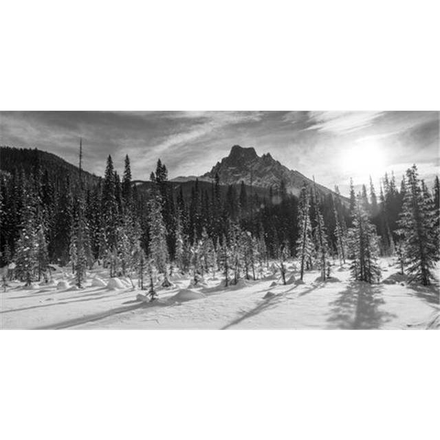 Snow On The Rugged Canadian Rocky Mountains & A Snow Covered Field Yoho Poster Print by Keith Levit, 42 x 20 - Large