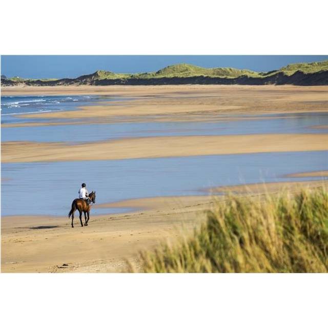 Horse & Rider on Beach with Grassy Sand Dunes & Blue Sky - Count Clare Ireland Poster Print - 38 x 24 in. - Large