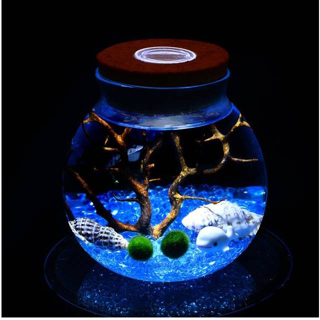 LED Aquarium Marimo Kit-Globe Glass Jar Blue Stones Sea Fan
