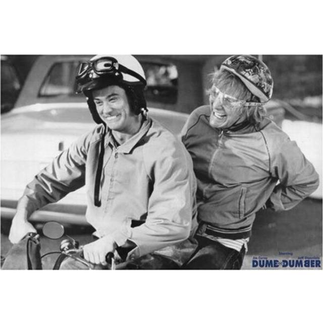 Hot Stuff Enterprise Z81-24x36-NA Dumb and Dumber Poster, 24 x 36