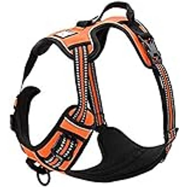 TrueLove Dog Harness TLH5651 No-pull Reflective Stitching Ensure Night Visibility, Outdoor Adventure Big Dog Harness Perfect Match Puppy Vest