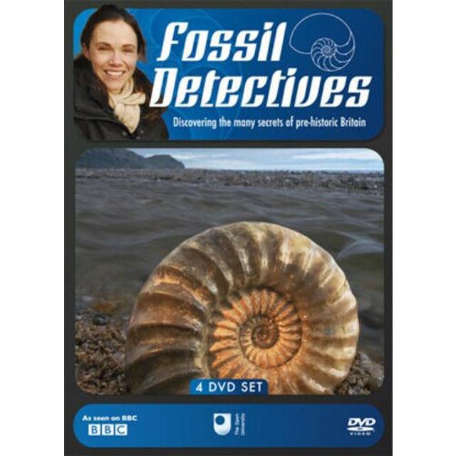 Fossil Detectives Collection