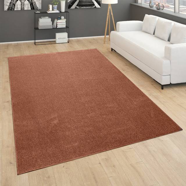 Crofford 100% Polypropylene Copper Rug (Rectangle 60 x 100cm)