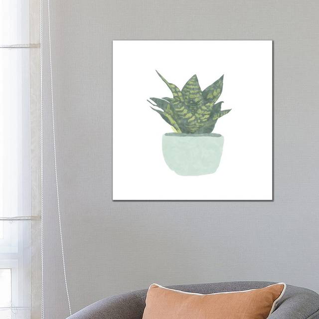Snake Plant IV by Bannarot - Wrapped Canvas Graphic Art (66.04 cm H x 66.04 cm W x 1.91 cm D)