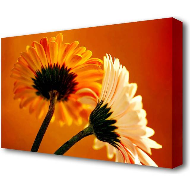 Behing The Golden Daisies Flowers Canvas Print Wall Art (101.6 cm H x 142.2 cm W)