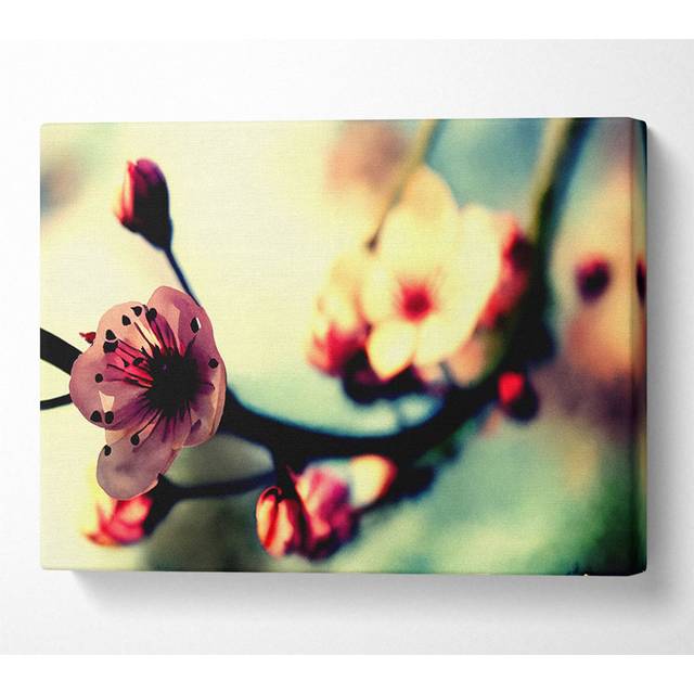 Cherry Blossom In Spring - Wrapped Canvas Art Prints - Multicolour (35.6cm H x 50.8cm W x 10cm D)