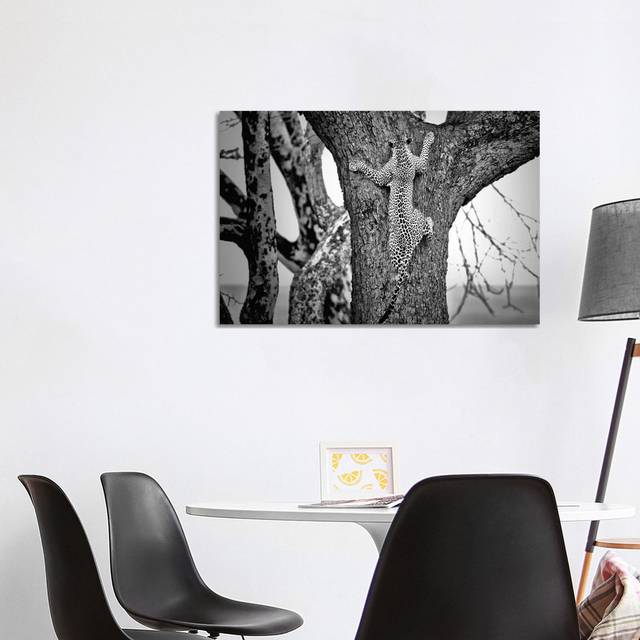 Spiderman by Nicolas Merino - Wrapped Canvas Photograph (101.6 cm H x 66.04 cm W x 1.91 cm D)