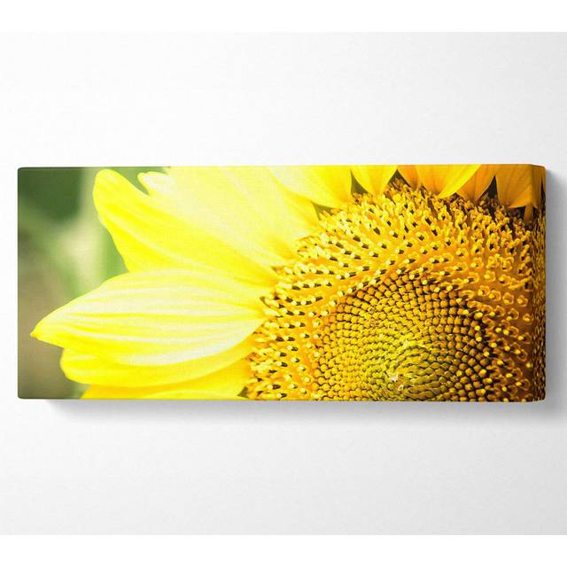 Sunflower Close-Up - Wrapped Canvas Art Prints - Multicolour (50.8cm H x 121.9cm W)