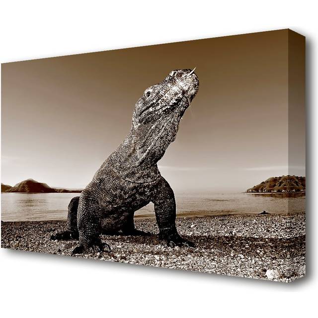 &#39;Beach Komodo Dragon Wildlife&#39; - Wrapped Canvas Photograph Print (81.3 cm H x 121.9 cm W)