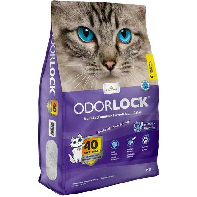 Intersand OdourLock LAVENDER Ultra premium klumpande kattsand 6 kg, 4-i-1 multikattformel, blockerar ammoniak, 99,9 % dammfri, ingen spårning, Kanada, 40 dagars luktgaranti, långvarig, veterinär