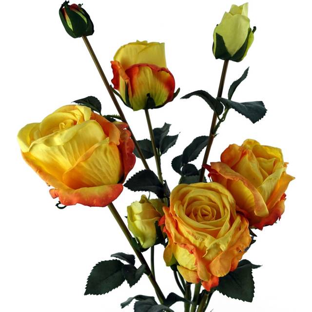 Rose Stems - Yellow (60cm H X 20cm W X 20cm D)