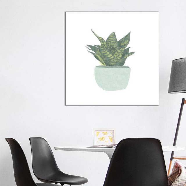 Snake Plant IV by Bannarot - Wrapped Canvas Graphic Art (93.98 cm H x 93.98 cm W x 1.91 cm D)