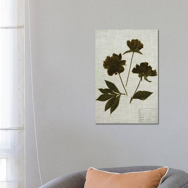 Pressed Leaves on Linen by Vision Studio - Wrapped Canvas Art Prints (66.04cm H x 45.72cm W)
