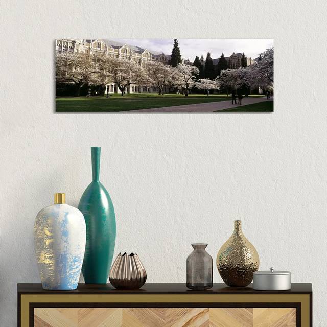 Cherry Trees in the Quad of a University, University of Washington, Seattle, King County, Washington State, USA - Wrapped Canvas Panoramic Photograph (30.48 cm H x 91.44 cm W x 3.175 cm D)