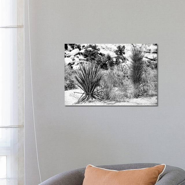 Desert Plants by Philippe Hugonnard - Wrapped Canvas Photograph (45.72cm H x 66.04cm W x 1.91cm D)